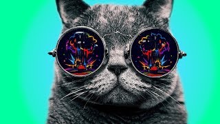 Omnivox  Live Psytrance Mix 2017 ᴴᴰ ૐ Psytrance Nation ૐ MrLemilica2 ૐ [upl. by Dunson]