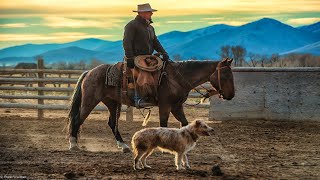 Cattle Rustlers Revenge  Watch Best Action Movie Special for USA Full HD 1080p Movies English [upl. by Thgirw]