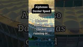 Alphonso Davies Speed [upl. by Niawd]