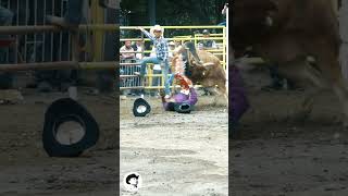 NO VEAS ESTE VIDEO bullriding toros jaripeo rodeo [upl. by Ardnossac]