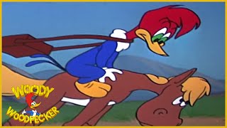 Woody Woodpecker  Puny Express  Old Cartoons  Woody Woodpecker Full Episodes  Videos for Kids [upl. by Morgen2]