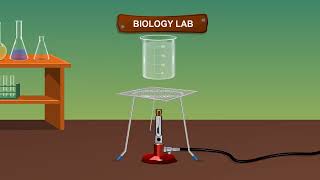 TO STUDY THE POLLEN TUBE GROWTH IN STIGMA [upl. by Eiral]