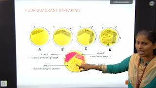 Lecture 01 Isolation and Preservation of Microorganism  Microbiology  BScI [upl. by Ahsitan800]