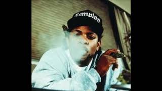 EazyE Interview  Being a Gangster Dr Dre and Snoop Dogg are Fakes [upl. by Keithley]