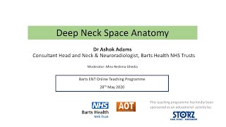 Head amp Neck  Radiology  Deep Neck Space Anatomy  Dr Ashok Adams [upl. by Nitneuq426]