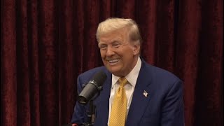 Joe Rogan X President Trump Interview LIVE Reaction [upl. by Ahsilac]