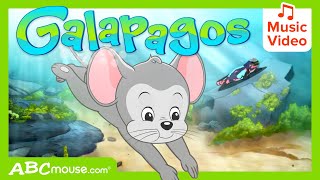 🐢🐧 Galapagos Adventure Sing Along and Discover Penguins and Turtles  ABCmouse Search amp Explore 🌴 [upl. by Bricker872]