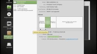 VeraCrypt EFI Troubleshoot with Linux Mint [upl. by Ilarin]