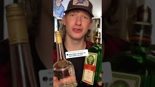 REAL GOLD Goldschlager Cinnamon Liquor amp Jager Mix Is it good [upl. by Anujra693]