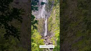 Wairere Waterfall  New Zealand newzealand waterfall ll [upl. by Maher]