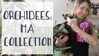 Orchidées  je repars de zéro  Ma collection dorchidées [upl. by Malamut811]