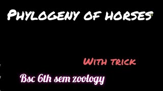 Phylogeny of horses  Evolution of horses Bsc 6th sem zoology unit 3  with trick to learn [upl. by Surad]