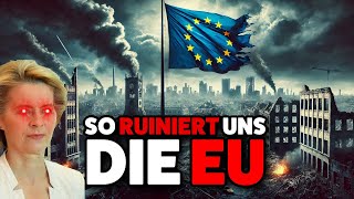 EU tritt uns mit Füßen So ruinieren sie unsere Landwirte [upl. by Ylicic]