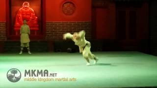 Shaolin Kung Fu Forms  Animal kung fu  Dog Boxing [upl. by Leidgam]