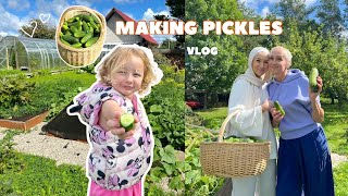 Making Pickles With My Mother VLOG [upl. by Aivun]