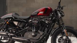 Café Custom  HarleyDavidson [upl. by Nnodnarb]