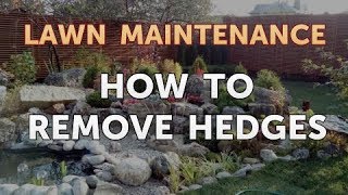 How to Remove Hedges [upl. by Brouwer344]