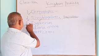 KingdomProtistapart1Class11th biologyJM Bio ClassesNCERT explanation Lecture 43 [upl. by Porter]