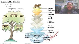 Bio 1081 Lecture 05  Systematics amp Phylogenetics Spring 2024 [upl. by Kassie520]