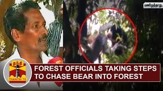 Forest Officials taking Various Measures to chase Bear into Forest  Thanthi TV [upl. by Atinahc189]