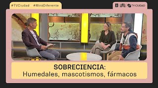 Sobreciencia  Humedales mascotismo e informes fármacos y ciencia en los helados [upl. by Nylyram]