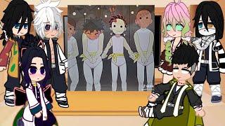 Hashiras react to themselves  KNY  Gacha reacts [upl. by Akemad]