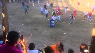 Poniendo Banderillas al Toro  Toros y corralejas de Buenavista Sucre 2015  2016 [upl. by Viradis636]