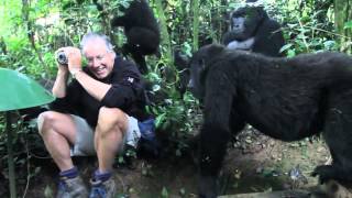 Extraordinary Encounter with Mountain Gorillas in Bwindi Uganda [upl. by Anabella93]