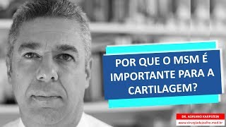 POR QUE O MSM É IMPORTANTE PARA A CARTILAGEM [upl. by Nylknarf905]