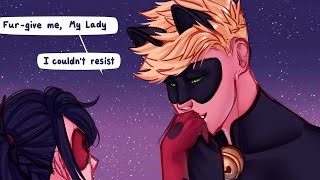 LadyNoir Texts pt2 Miraculous Ladybug and Cat Noir Comic Dub [upl. by Anujra]