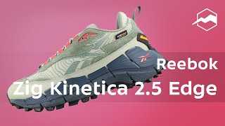 Кроссовки Reebok Zig Kinetica 25 Edge Обзор [upl. by Annaeed463]