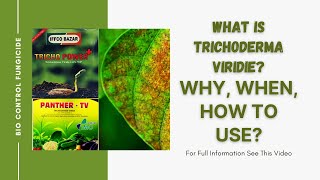 How Why and When to Use Trichoderma Viridie in Home Garden  Detailed information [upl. by Rickie]