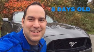 2015 Mustang GT Farewell Tribute  CarGuy11 [upl. by Danita]