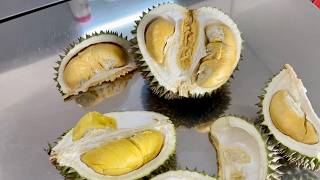 How to Malaysia  Day 16 BM Durian Black Thorn Musang King 黑刺 猫山王 ドリアン 黒い棘 ムサンキング ペナン Banana バナナ [upl. by Nwahsek265]