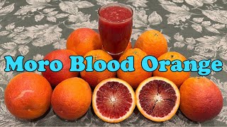 Moro Blood Orange Tasting [upl. by Corliss]