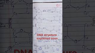 HeredityClass 12th Genetics [upl. by Itisahc]