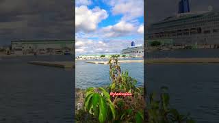 Charlotte Town PEI Canada charlottetown pei canada shorts shortvideo zhadeenjhun [upl. by Kursh908]