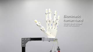 ELECTRICALLYDRIVEN PHASE TRANSITION soft ACTUATORS TENDONDRIVEN BIOMIMETIC ROBOTIC HAND [upl. by Yspyg]