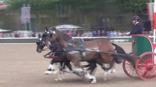 Hengstparade Warendorf 2017  Altrömische Jagdanspannung [upl. by Eenwat847]