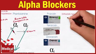 Pharmacology ANS 17 Alpha Blockers  Prazosin Terazosin Doxazosin Tamsulosin and Alfuzosin [upl. by Nester]