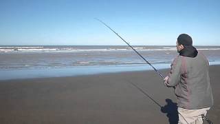 Pesca de Panzones y Escardones en el Tamarisco de Gabilondo La Baliza Patagones [upl. by Lugo]