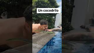 Cocodrilo en el agua🤣😂 [upl. by Eph]