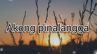 Akong Pinalangga  music with lyrics bisaya love song [upl. by Anikram876]