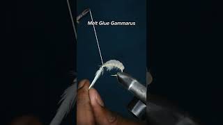 Fly Tying a Melt Glue Gammarus  Fly tying tutorial flytying flytyingforbeginners fishing shrimp [upl. by Atiseret]