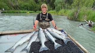 Sockeye Salmon On The Kenai River  Alaska July 2022 [upl. by Aynatahs]