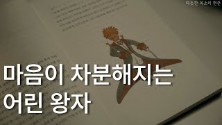 어린왕자ㅣ책 읽어주는 남자ㅣ자기전에 듣는ㅣ졸려오는 이야기ㅣ명작 동화ㅣ오디오북 ASMR [upl. by Fredella]