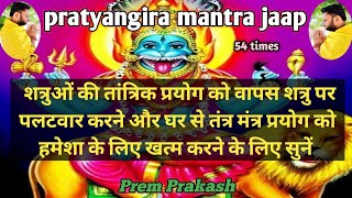 Most Powerful Mantra to remove negative energy from home 54 times  SriVidyaSanjivaniPrem [upl. by Ydnih]