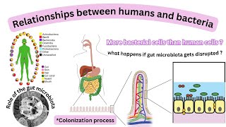 Relationships between humans and bacteria Factors that determine the composition of microbiota [upl. by Bobby]