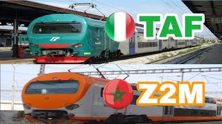 Z2M morocco🇲🇦 TAF 🇮🇹italy ALe [upl. by Westerfield550]