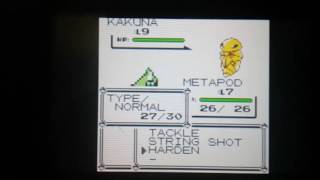 Metapod VS Kakuna  The Most Intense Fight Ever [upl. by Albarran]